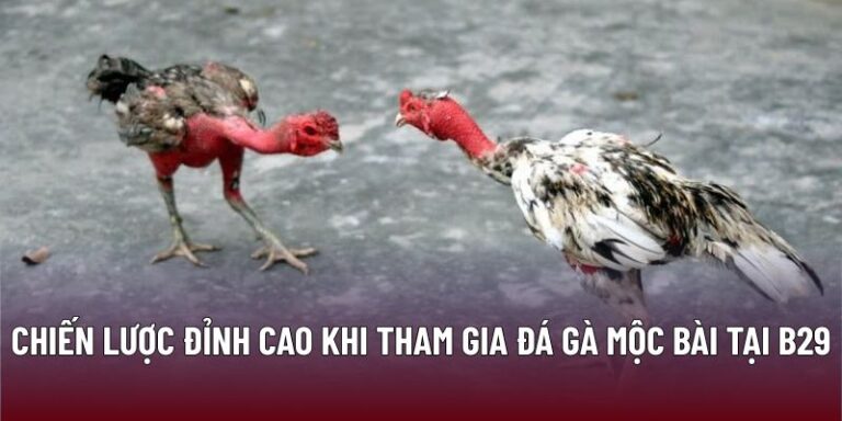 Đá gà mộc bài