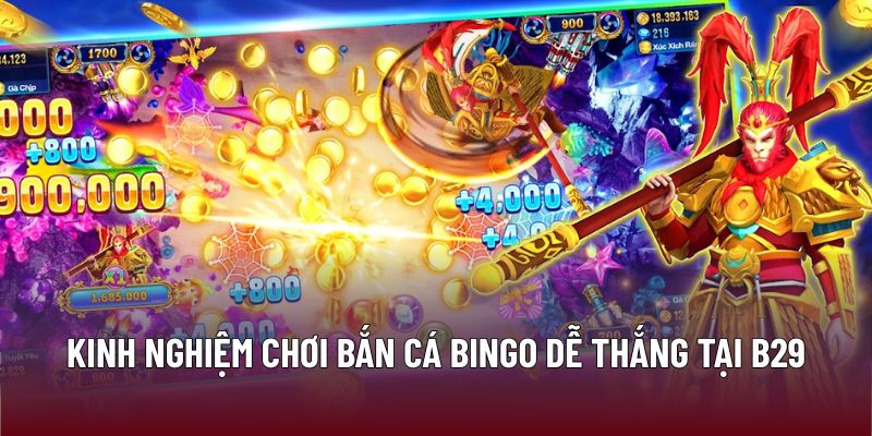 Kinh nghiệm chơi bắn cá bingo dễ thắng tại B29