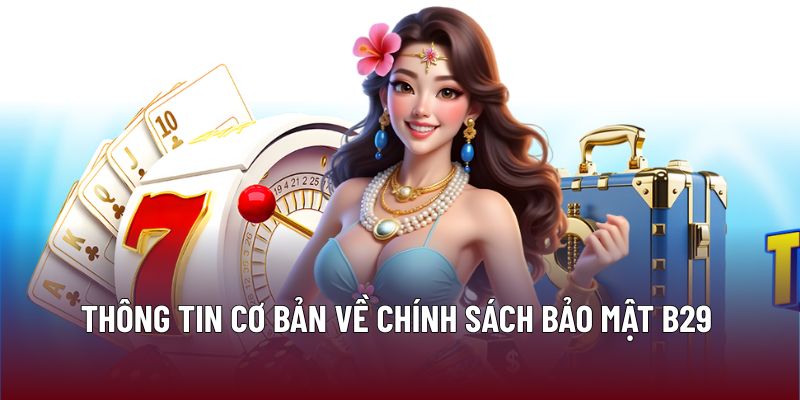 Thông tin cơ bản về chính sách bảo mật B29 